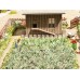 Noch 14107 Vegetable Garden Set